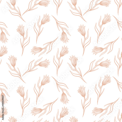 Cornflower vector seamless pattern. Hand drawn doodle ink floral textile fabric print. Field knapweed flowers on white background.