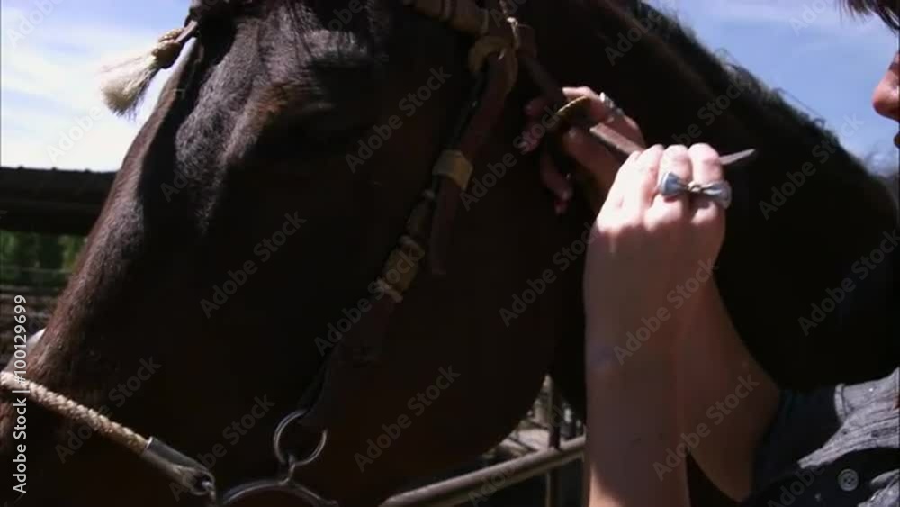 Closeup, tilt, slow motion shot of a woman and her horse. Closeup, tilt, slow motion shot of a woman and her horse.