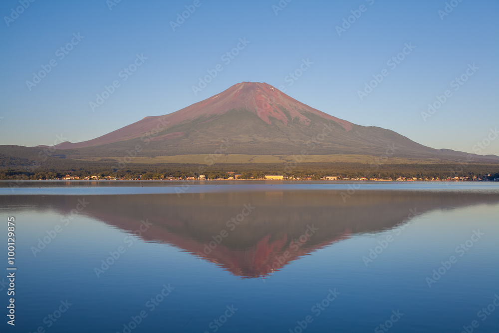Fototapeta premium Red color at Top of Mountain Fuji in summer early morning seen from Lake Yamanaka , Yamanashi prefecture