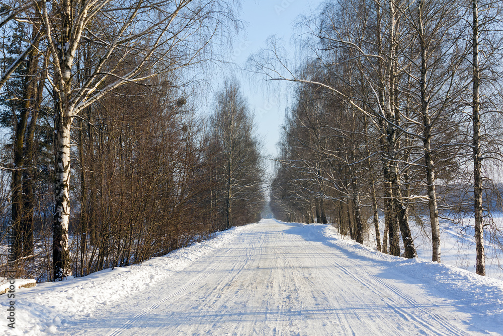 Naklejka premium the winter road 