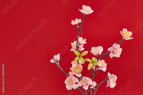 Chinese new year's decoration for Spring festival