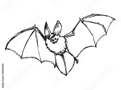hand drawn, grunge, sketch illustration of bat