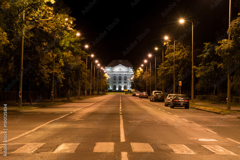 University avenue in Debrecen at night