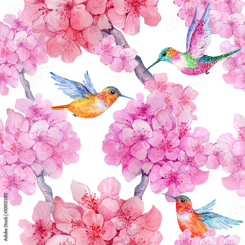 Fototapeta Naklejka Na Ścianę i Meble -  seamless pattern,rose flowers, hummingbirds .watercolor illustration