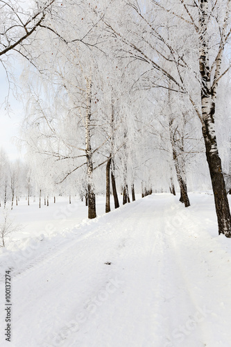 the winter road   © rsooll