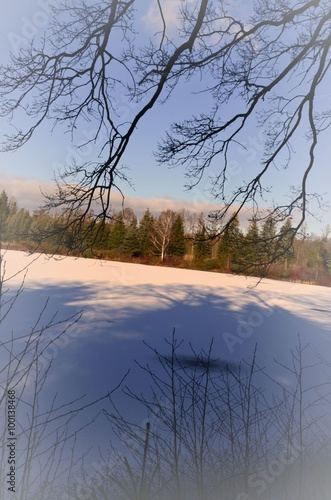 Winterruhe am Waldsee