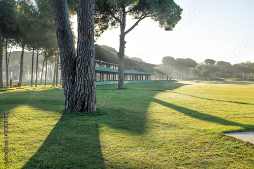 playing golf on a golf course