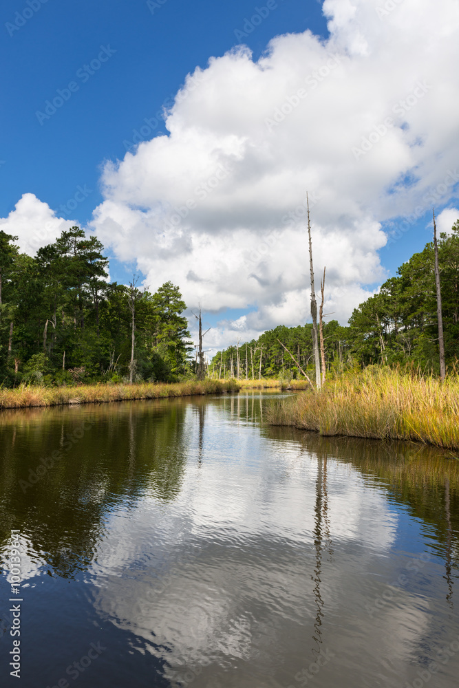 Obraz premium Coastal Waterway on Sunny Fall Day