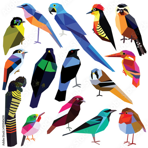 Birds-set colorful birds low poly design isolated on white background
Bluebird,Reedling,Honeycreeper,Falconet,Tody,Macaw,Jay,Cotinga,Cockatoo,Robin,Kingfisher,Asity,Broadbill,Paradise bird,Woodpecker