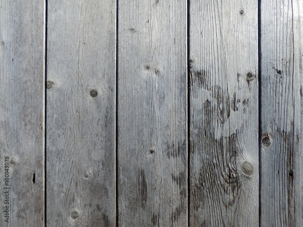 Fototapeta premium Perfect natural gray wood texture