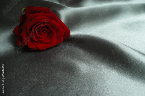 Happy Valentine's Day, red rose on gray silk background photo