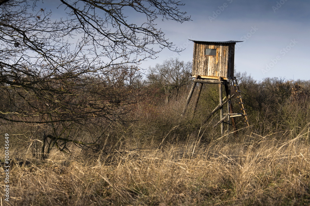 Wooden hunters high seat hide in forest with blue sky background Wooden hunters high seat hide in forest with blue sky background