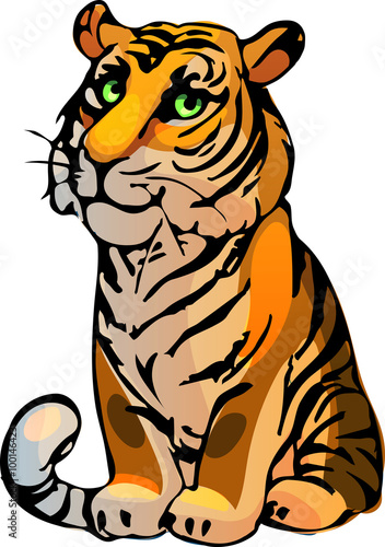 Tiger. Vector illustration