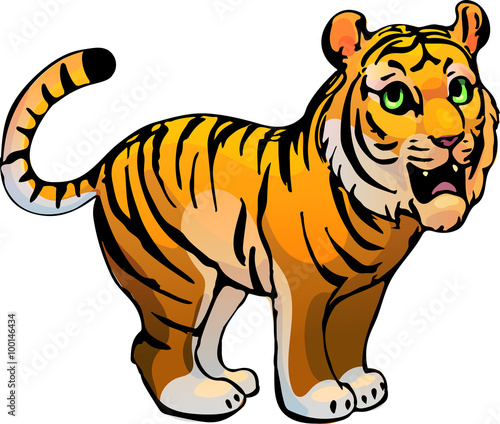 Tiger. Vector illustration