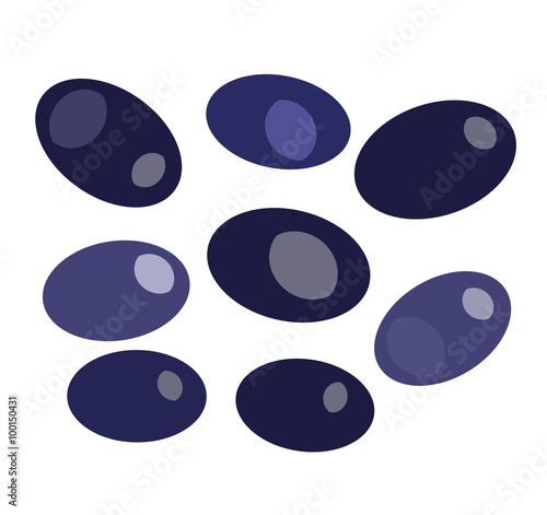 Black olives isolated on white backround vector illustration