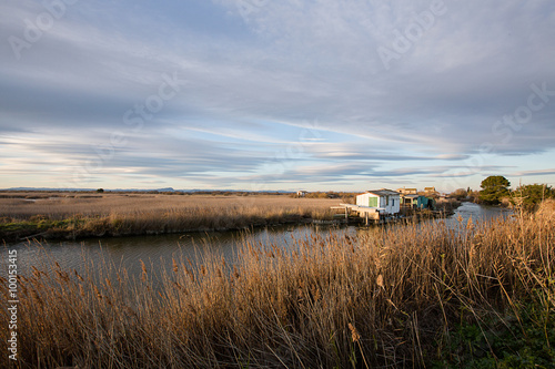 Cabane sur les marais au milieu des roseaux