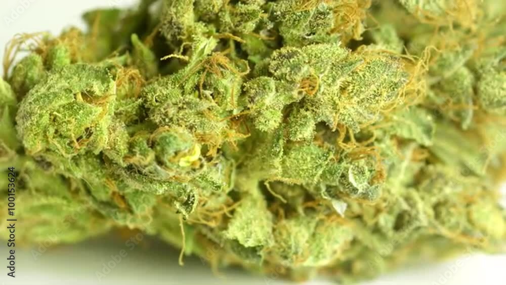 Rotating macro product shot of high quality marijuana, on a solid white background Rotating macro product shot of high quality marijuana, on a solid white background