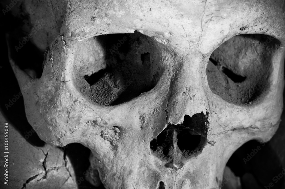 Fototapeta premium Skull of Cemetery in Naples - Italy