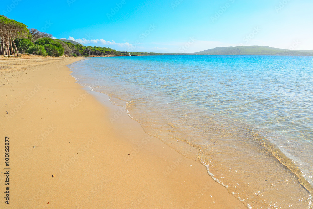 Mugoni beach on a clear day