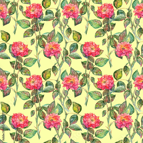 Watercolor pink roses seamless pattern texture background