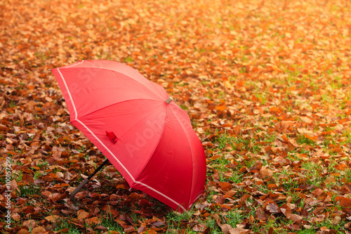 Red umbrella in autumn park on leaves carpet.