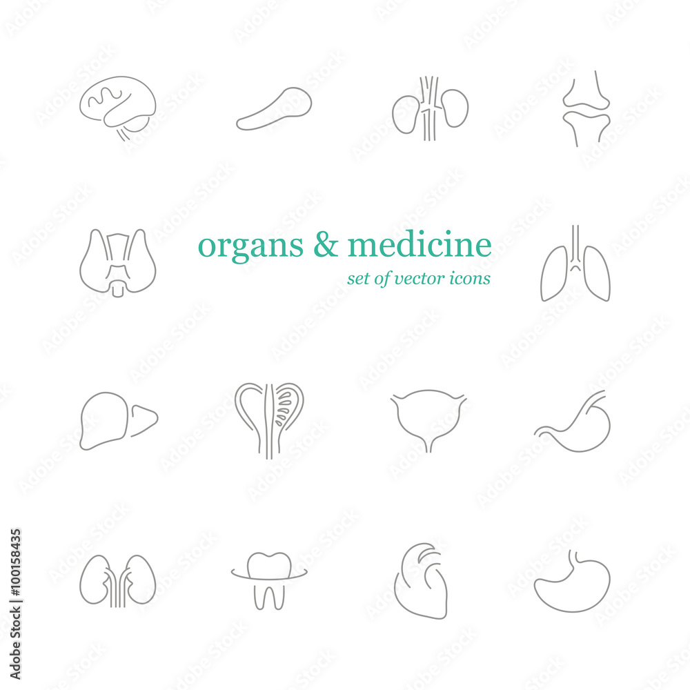Organs & Medicine Organs & Medicine