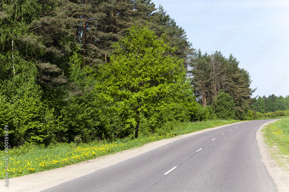 asphalt road . spring asphalt road . spring