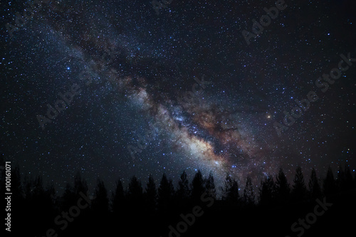  Milky way and silhouette of tree on a night sky
