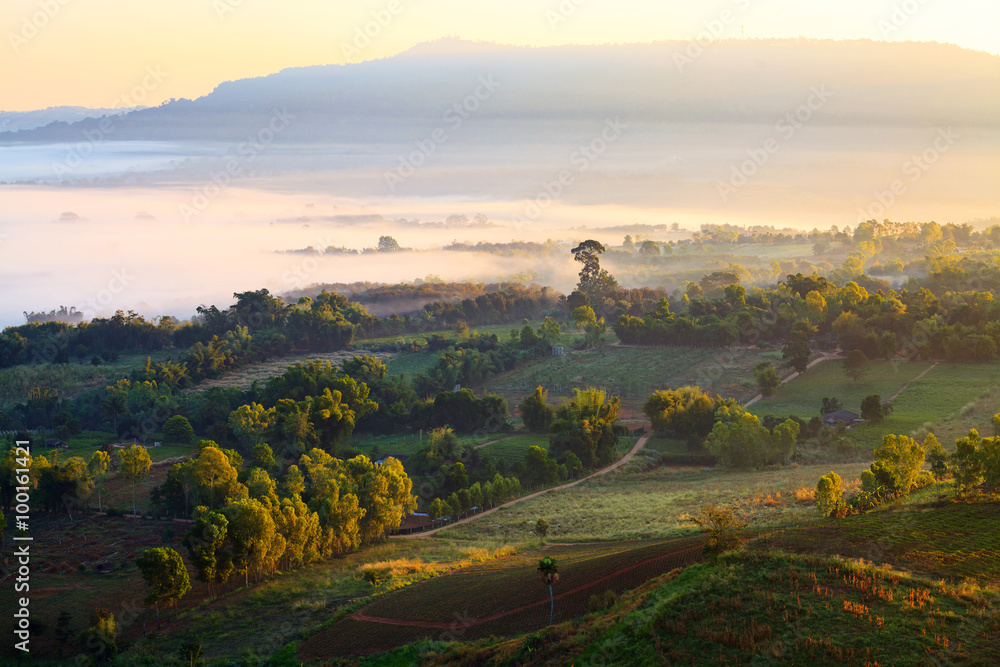 Naklejka premium Misty morning sunrise in Khao Takhian Ngo View Point at Khao-kho