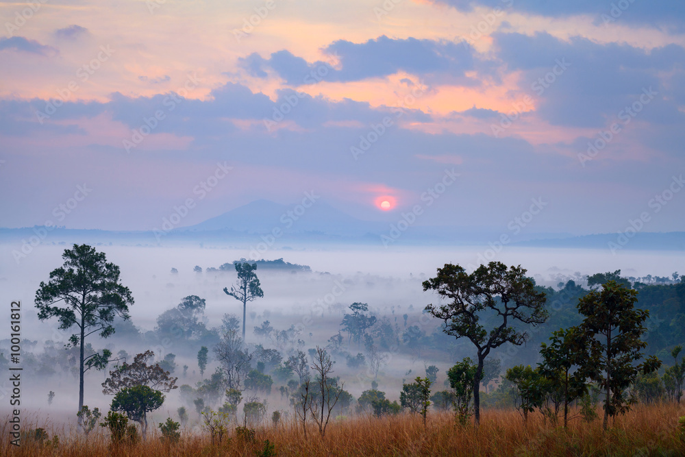 Misty morning sunrise at Thung Salang Luang National Park Phetch
