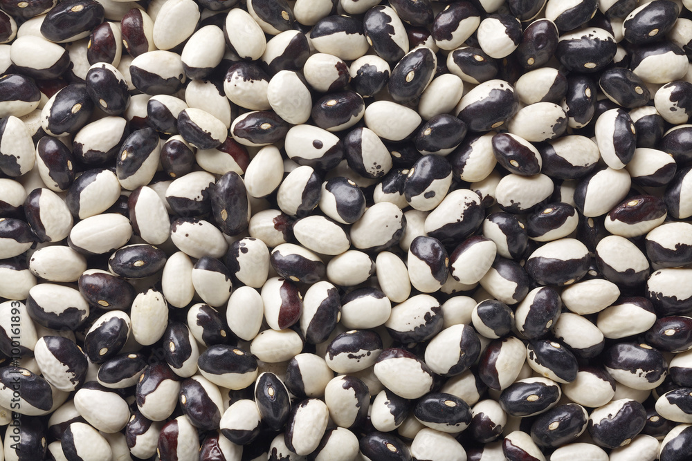 orca bean orca bean