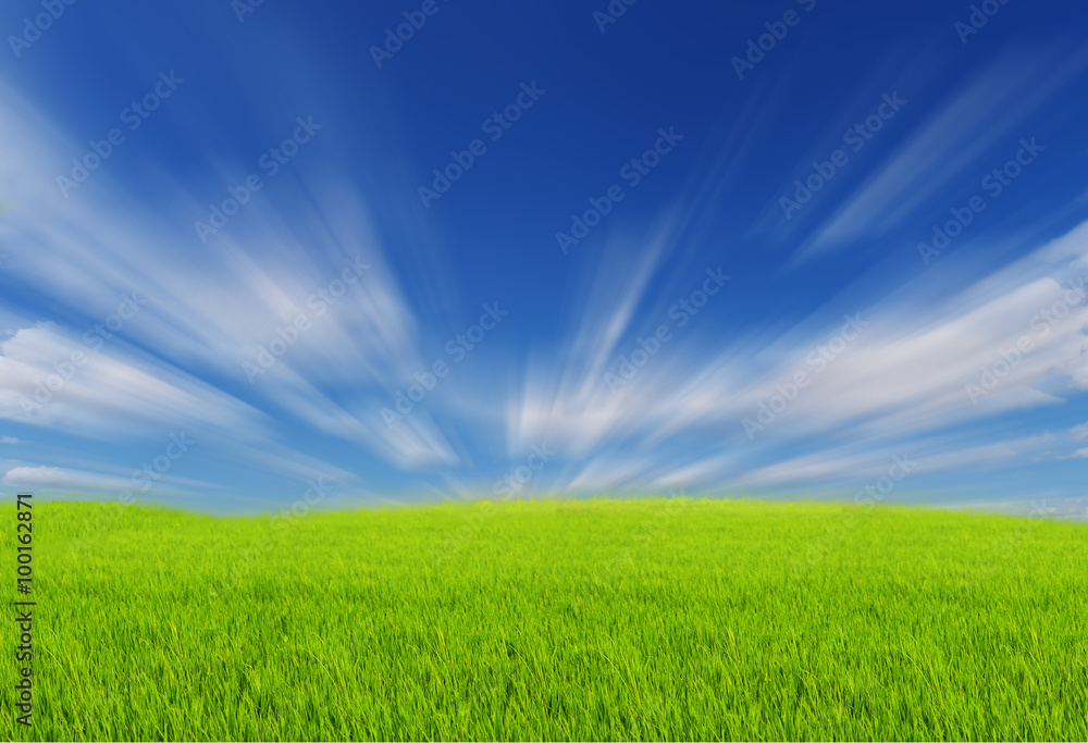 Green Fields with blue sky and Moving clouds