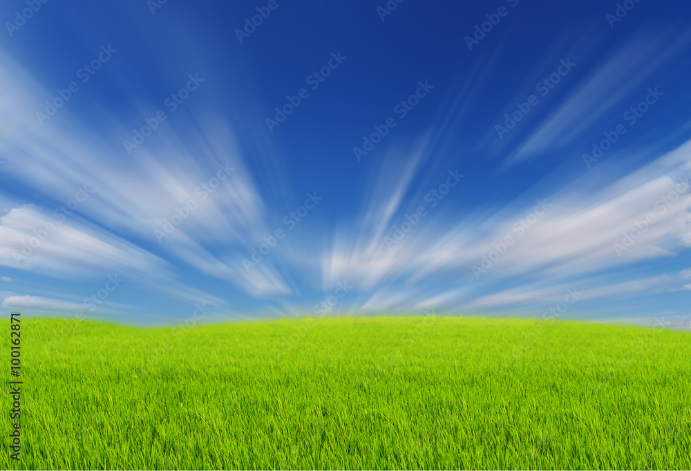 Obraz premium Green Fields with blue sky and Moving clouds