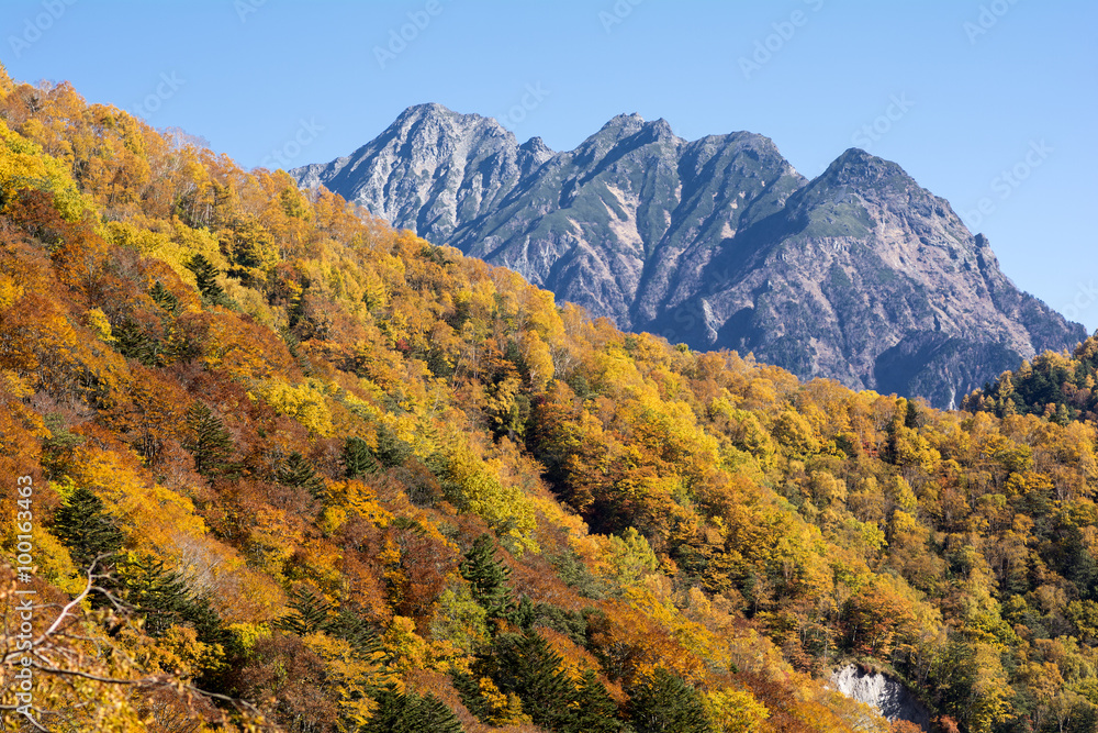 中部山岳の明神岳と紅葉