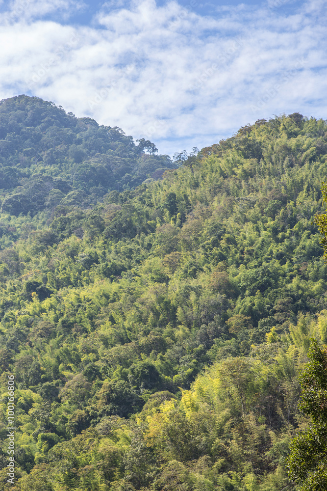 Naklejka premium mountain and sky