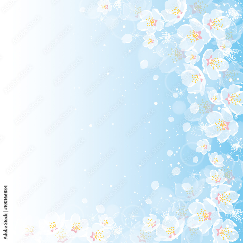 Fototapeta premium 桜 背景