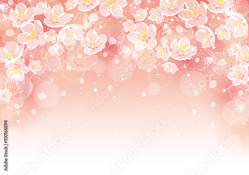桜　背景