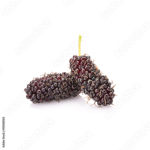 Mulberry isolated on white background