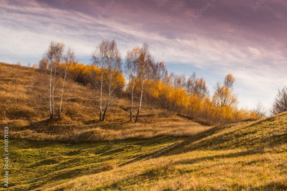 Fototapeta premium Autumn scenery in remote rural area in Transylvania