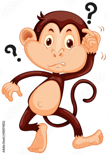 Little monkey looking confused