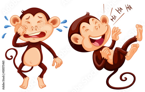 Monkey crying and laughing