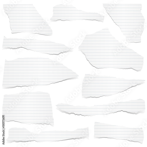 collection scrap of paper