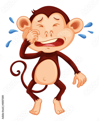 mn_monkey_crying