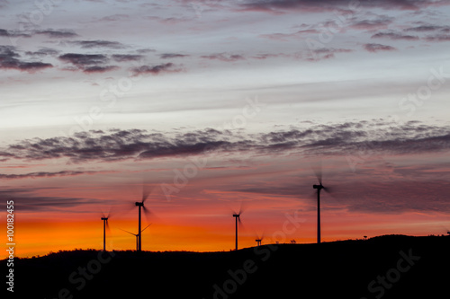Windmills seen at dawn