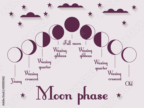 The phases of the moon. Vector illustration.
