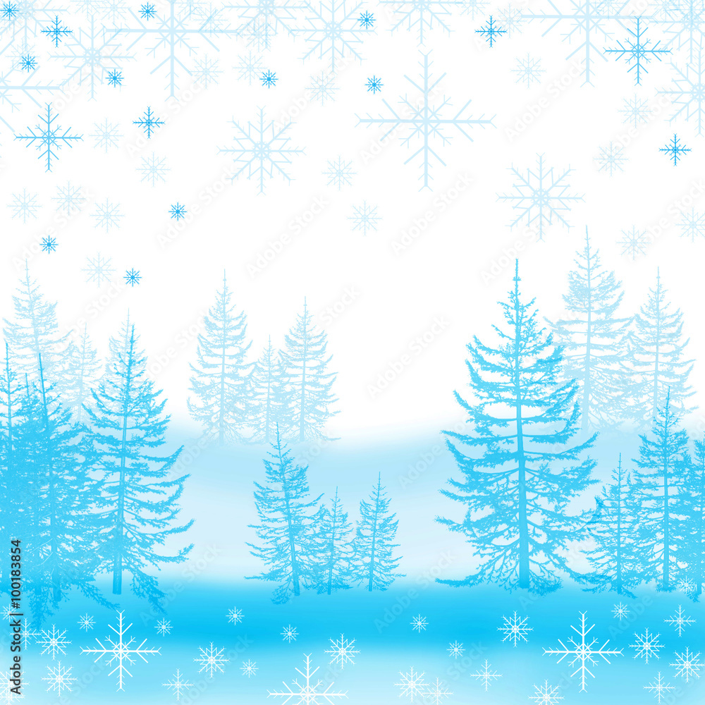 Winter forest Winter forest