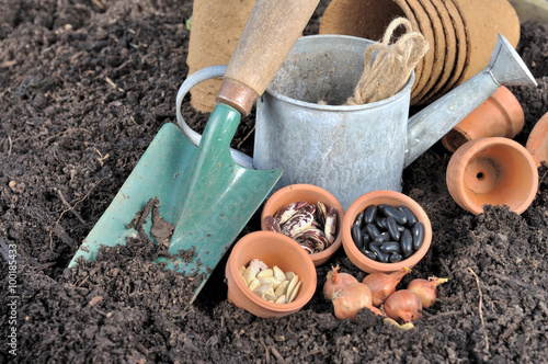 graines dans pots et accessoires de jardinage photo