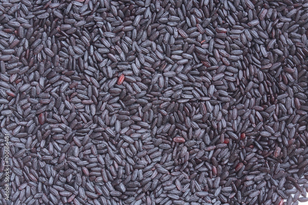 Wild rice grains. Wild rice grains.