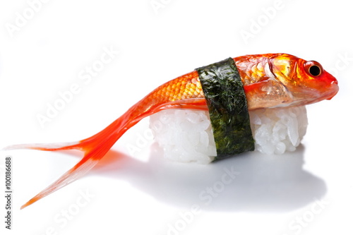 Uncooked golden fish sushi on a white bachkround