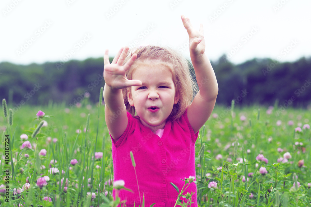 girl on the meadow girl on the meadow